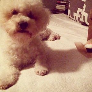 Meet your Posher, Javier